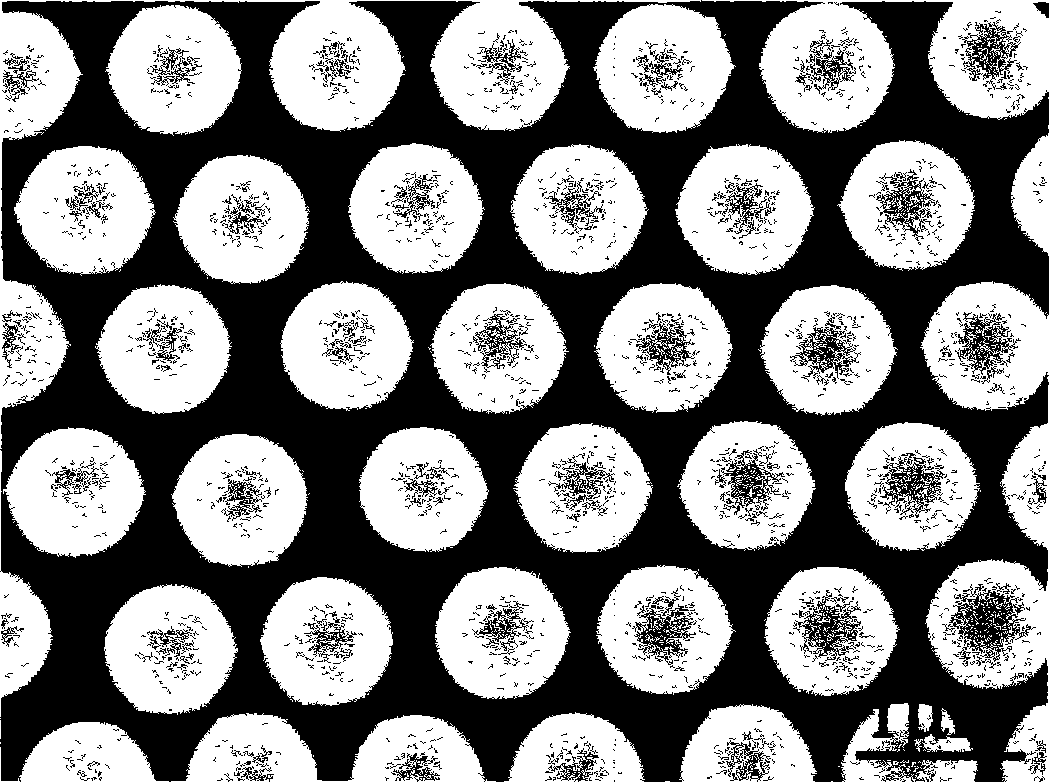 Nickel ordered porous array film and preparation method thereof