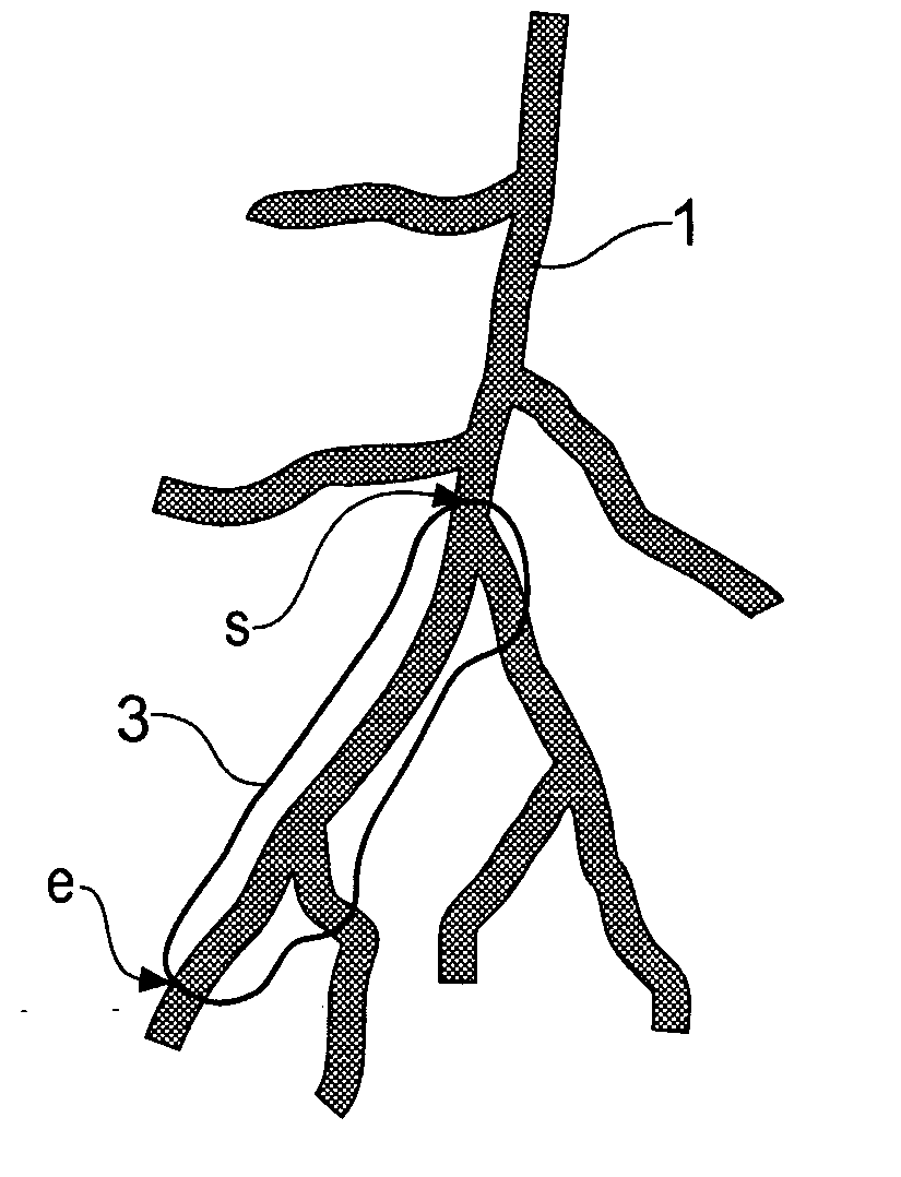 Method for determining a path along a biological object with a lumen