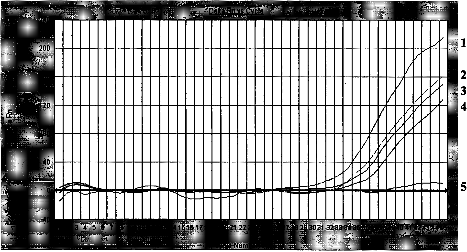 Method for detecting allergen almond component in foods by fluorescent PCR technology