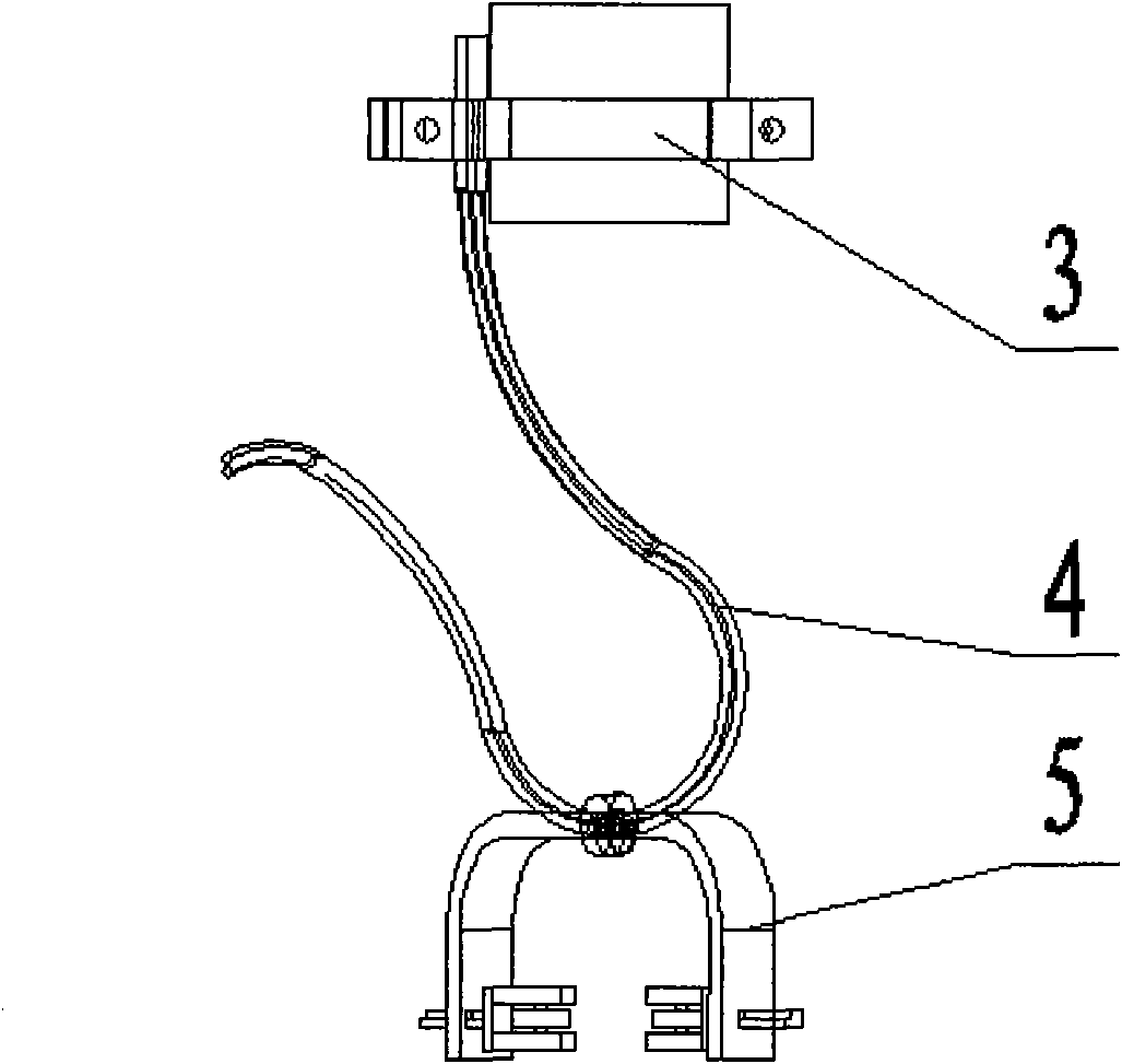 Detection device and detection method of torsional deformation of hoisting hook