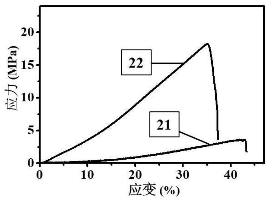 Preparation method and application of moisture-absorbing double-layer gel polymer electrolyte