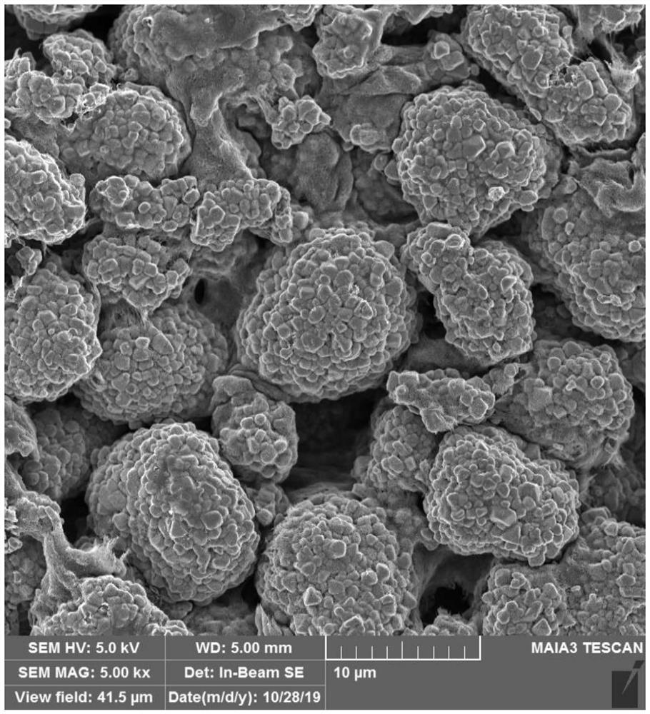 Double-element doped lithium ion battery high-voltage positive electrode lithium nickel manganese oxide composite material and preparation method thereof, and lithium ion battery