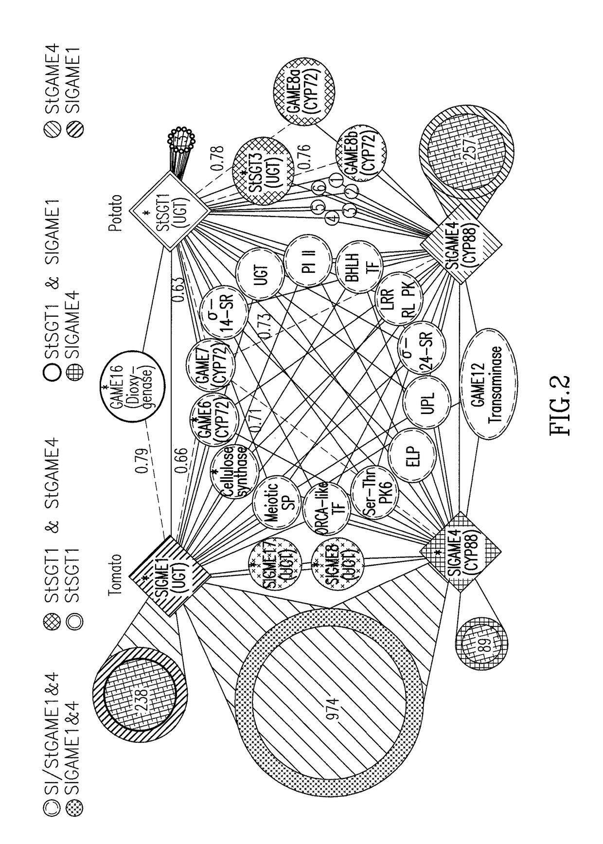 Plant with altered content of steroidal glycoalkaloids