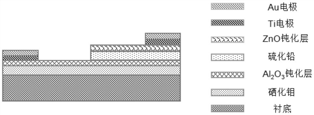 Heterojunction material and application thereof