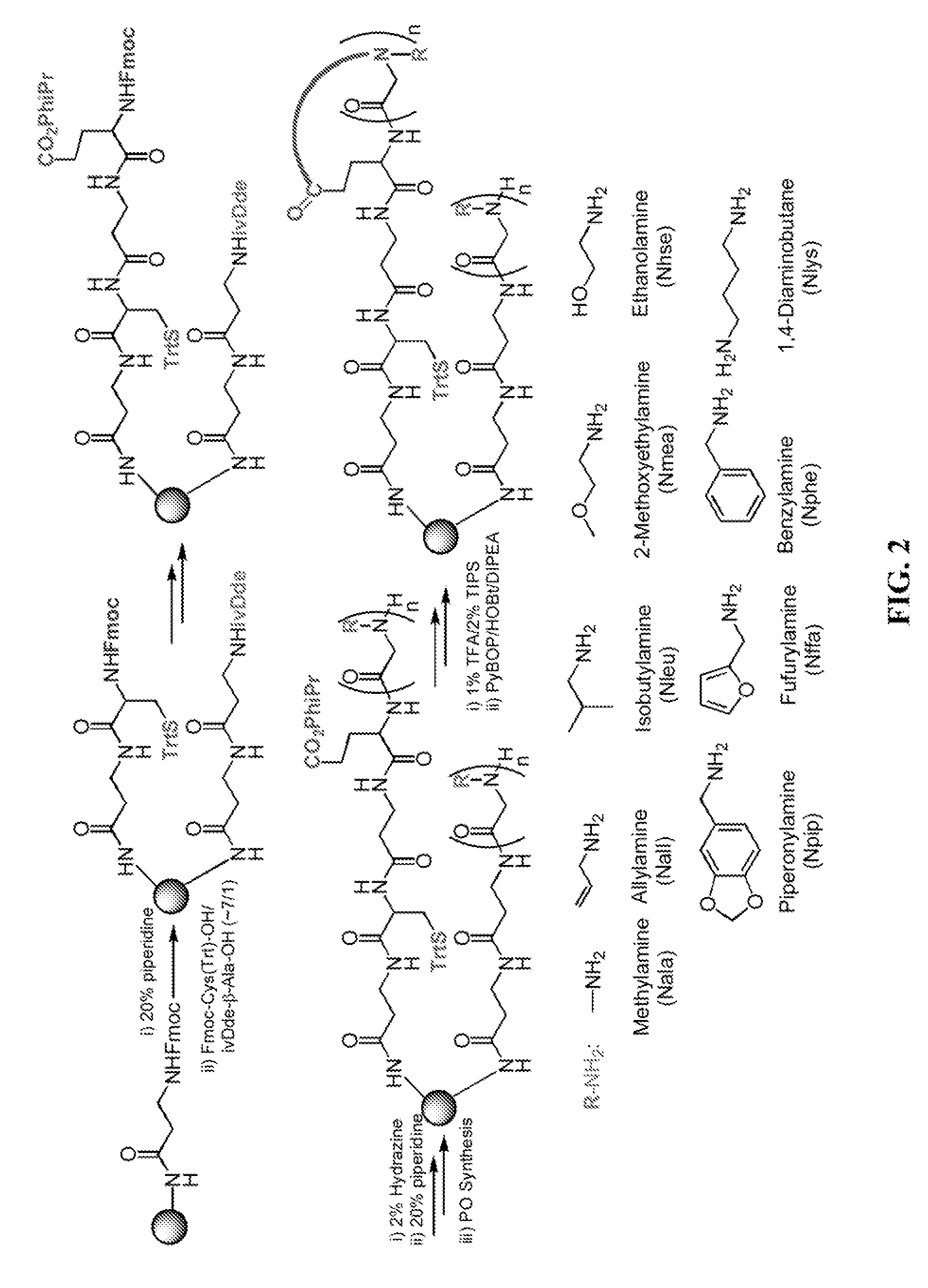 Antigen surrogates in autoimmune disease