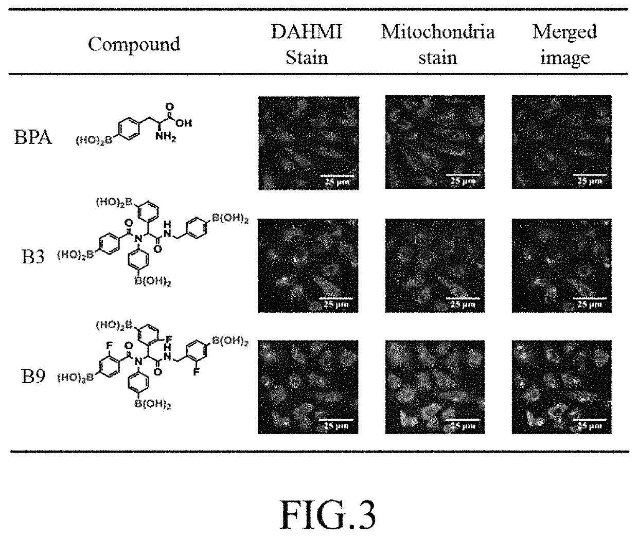 Preparation method of tetraboronic acid compounds, and tetraboronic acid compounds