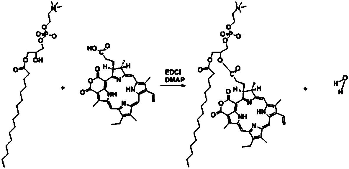 Preparation method of purpurin 18-liposome nanovesicle and application of purpurin 18-liposome nanovesicle to preparation of medicines for treating tumor