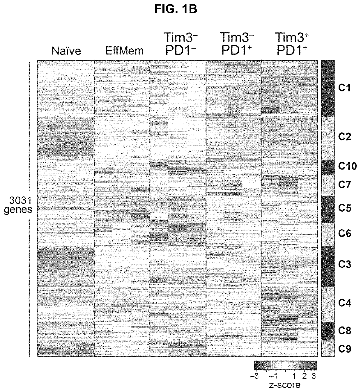 Compositions and methods for evaluating and modulating immune responses by detecting and targeting POU2AF1