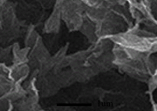 Preparation method for boron-nitrogen-co-doped three-dimensional structured positive electrode material of lithium-sulfur battery