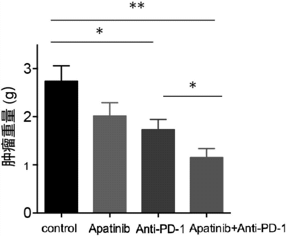 Application of apatinib and anti-PD-1 antibody combination to preparation of colon cancer medicines