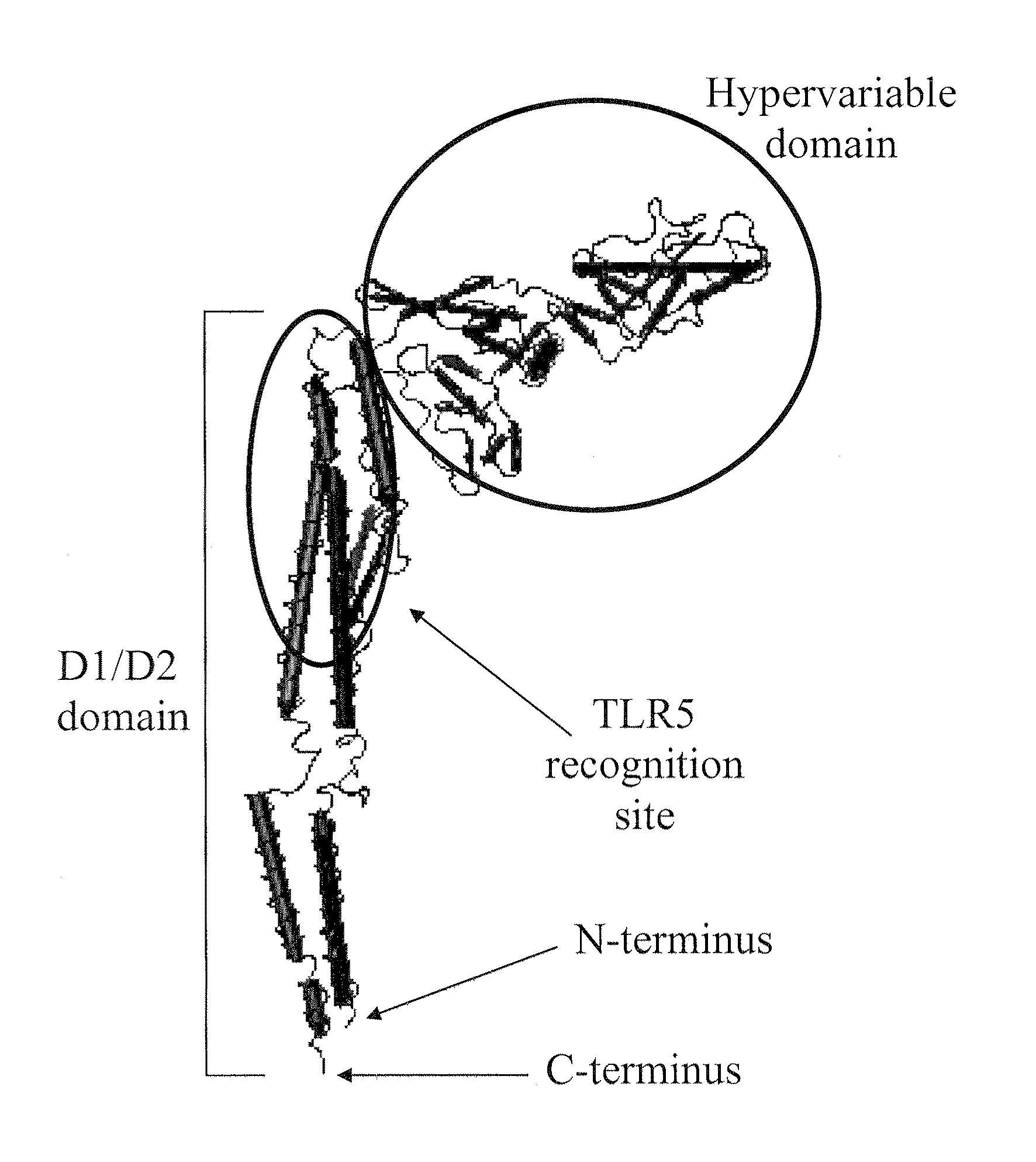 Compositions of toll-like receptor agonists and malaria antigens and methods of use