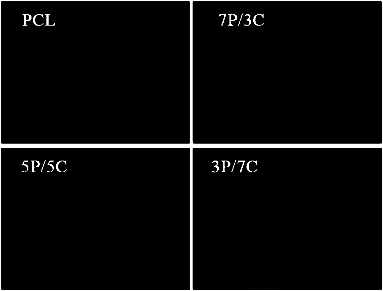 Gradient composite material and preparation method and application thereof