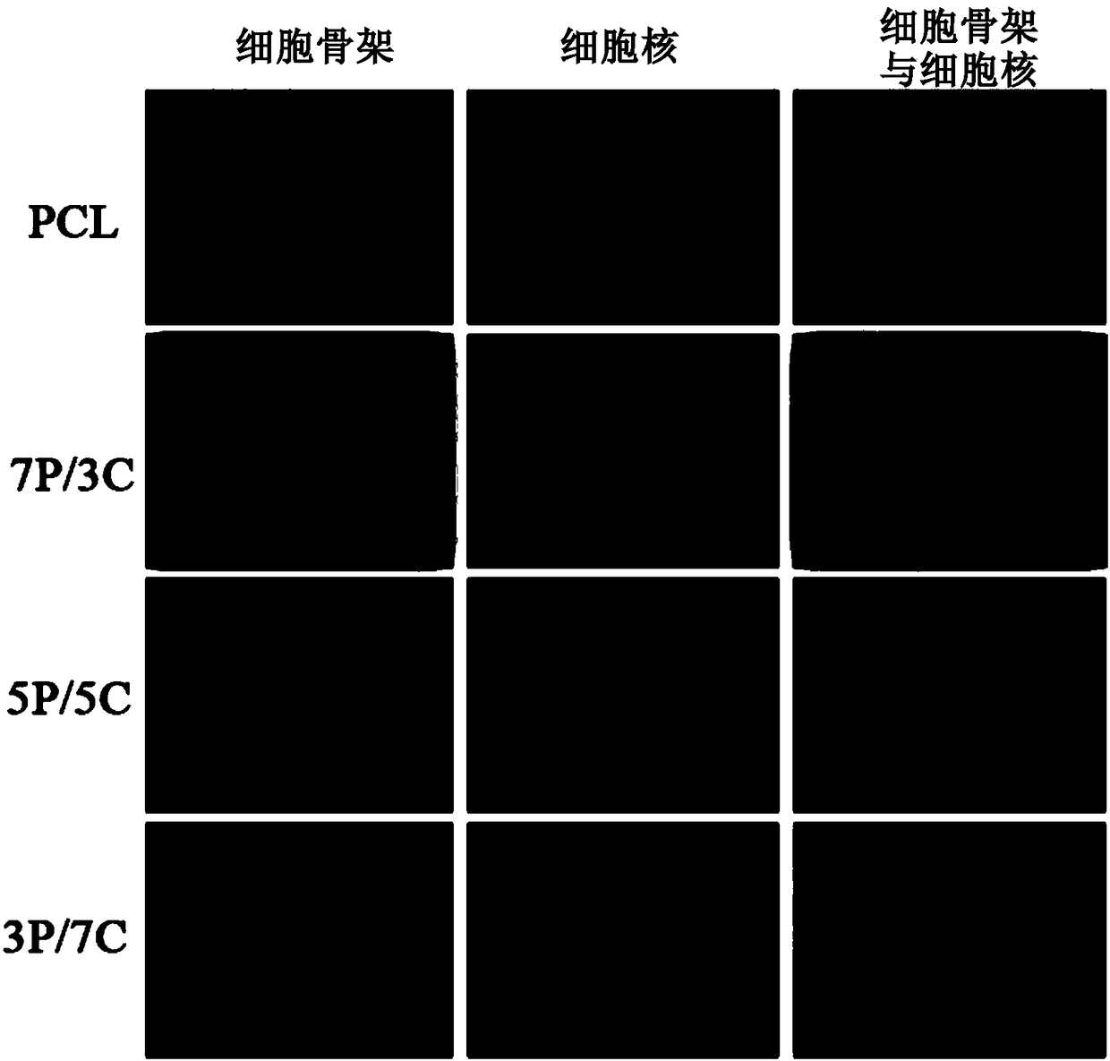 Gradient composite material and preparation method and application thereof