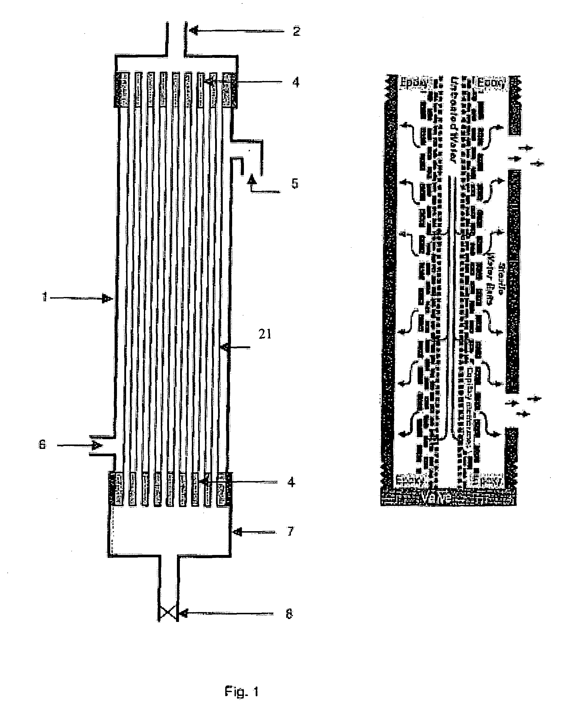 Capillary membrane filter with manually activated backwash pump