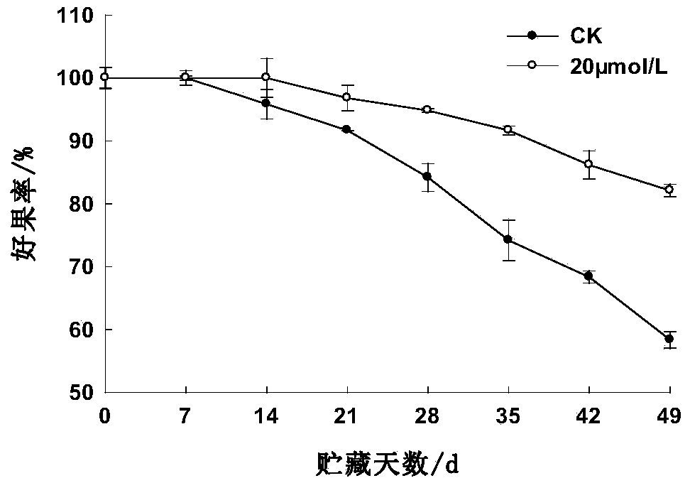 Biological preservation method for blueberry fruits