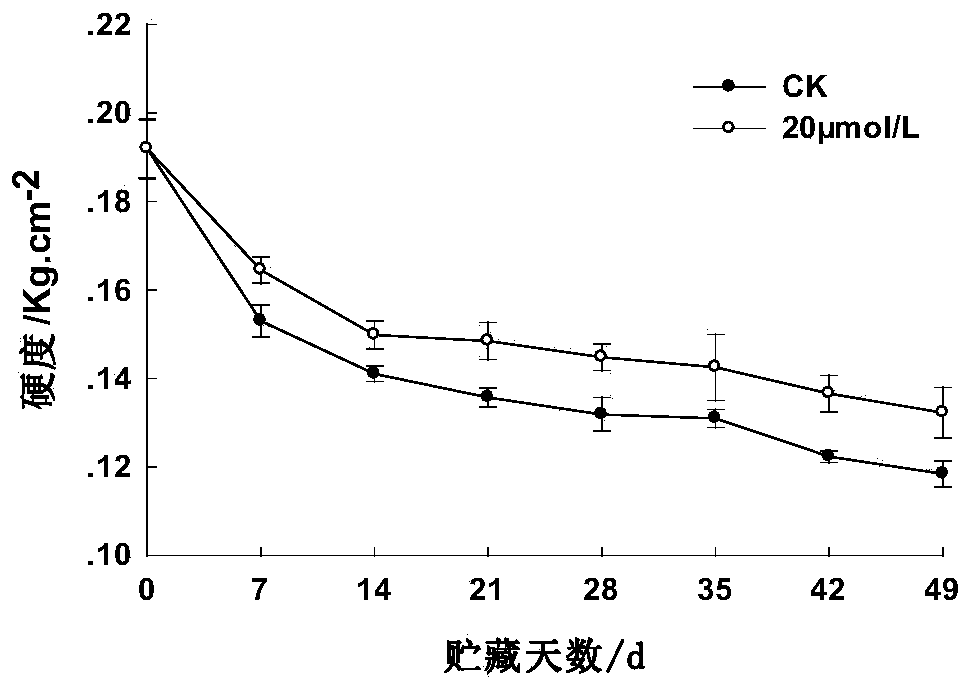 Biological preservation method for blueberry fruits