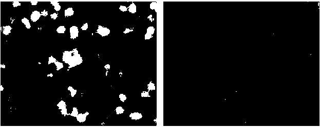 Method for preparing metal 1T phase rhenium sulfide hollow nanosphere supercapacitor electrode material