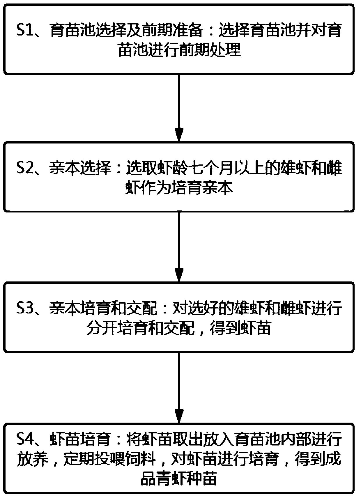 Cultivation method of young freshwater shrimps