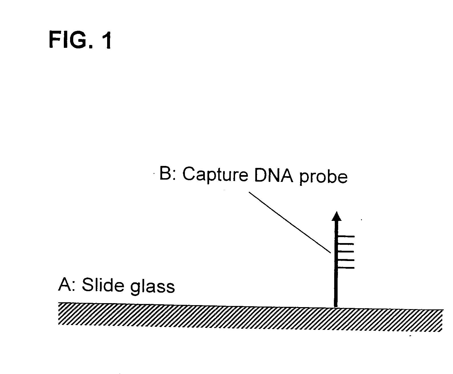 Method f amplifying dna chip signals