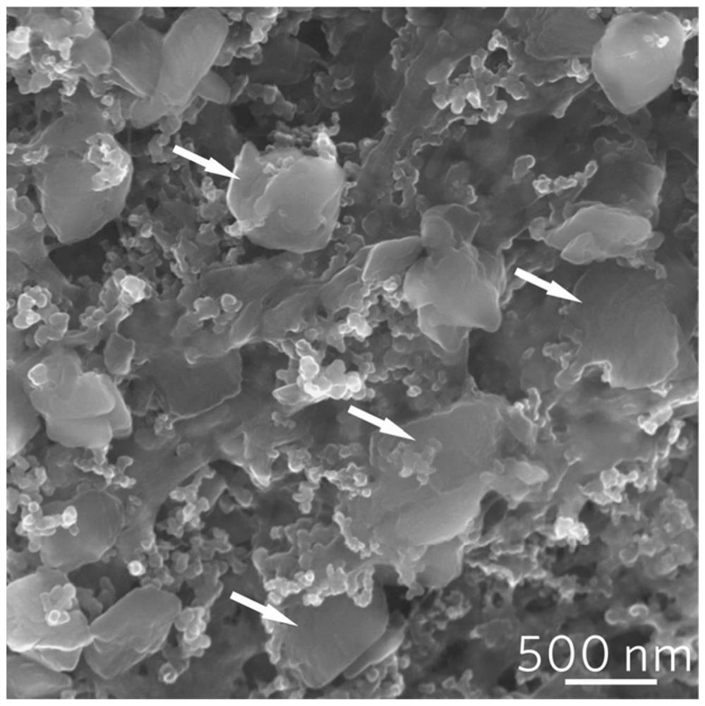 Organic nano negative electrode based on intercalated pseudocapacitor and preparation method and application of negative electrode