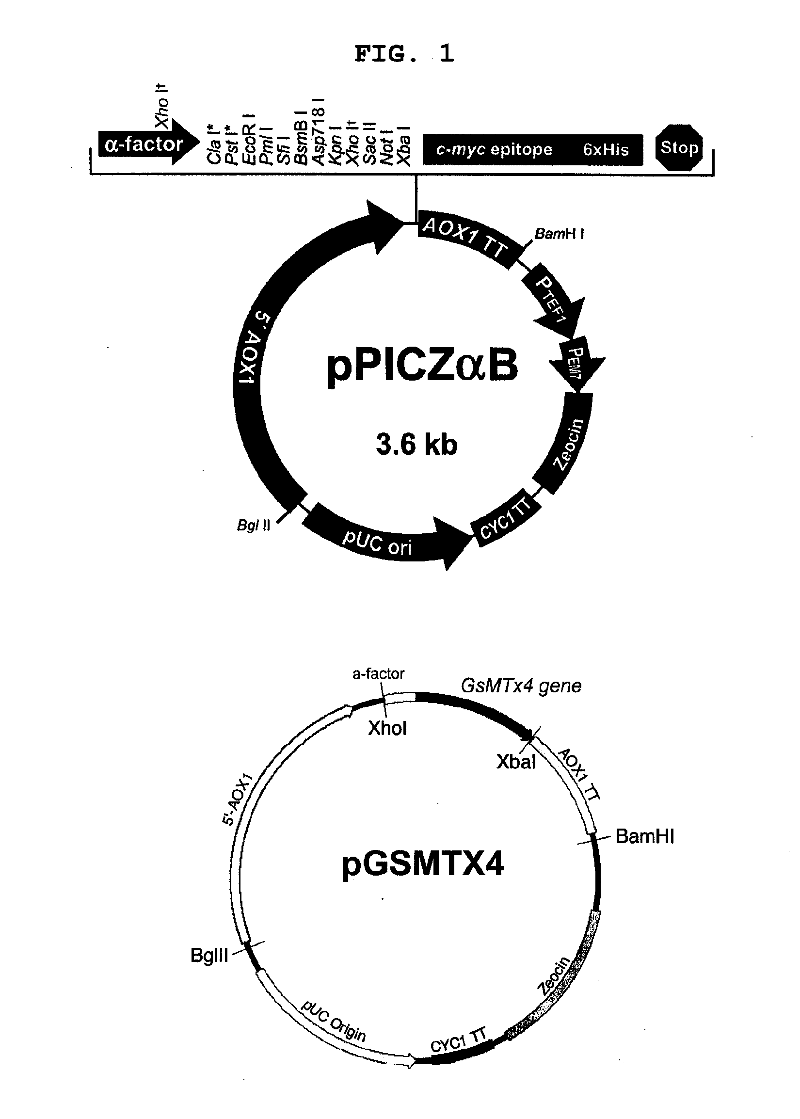 Method for preparing recombinant peptide from spider venom and method for relieving pain