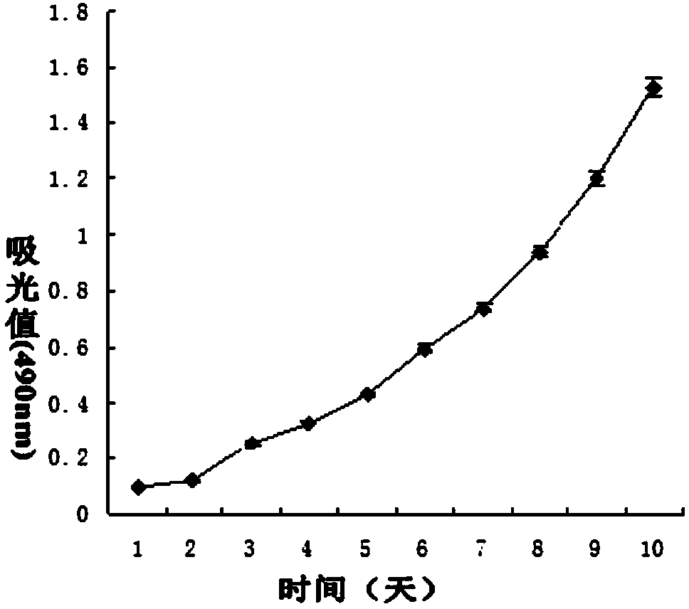 Ming human infiltrating type gastric cancer cell line and application thereof