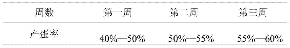 Tea-dust feed additive for improving egg laying performance of laying hens and preparation method thereof