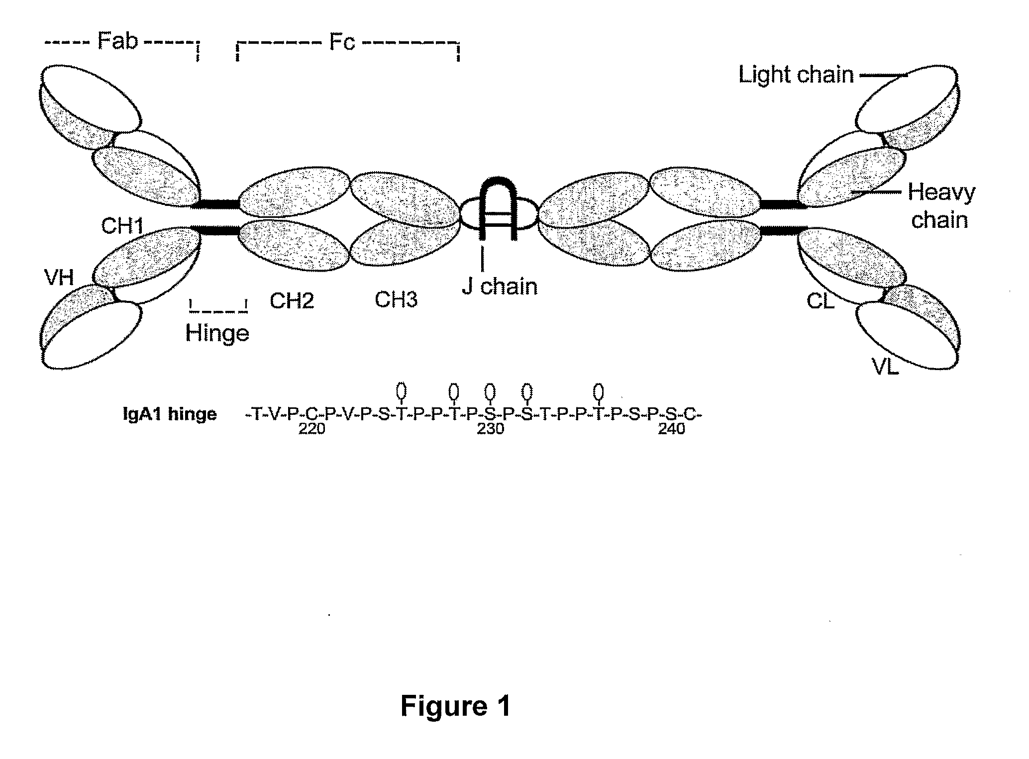 Methods and compositions for diagnosis of iga-and igm-mediated kidney diseases