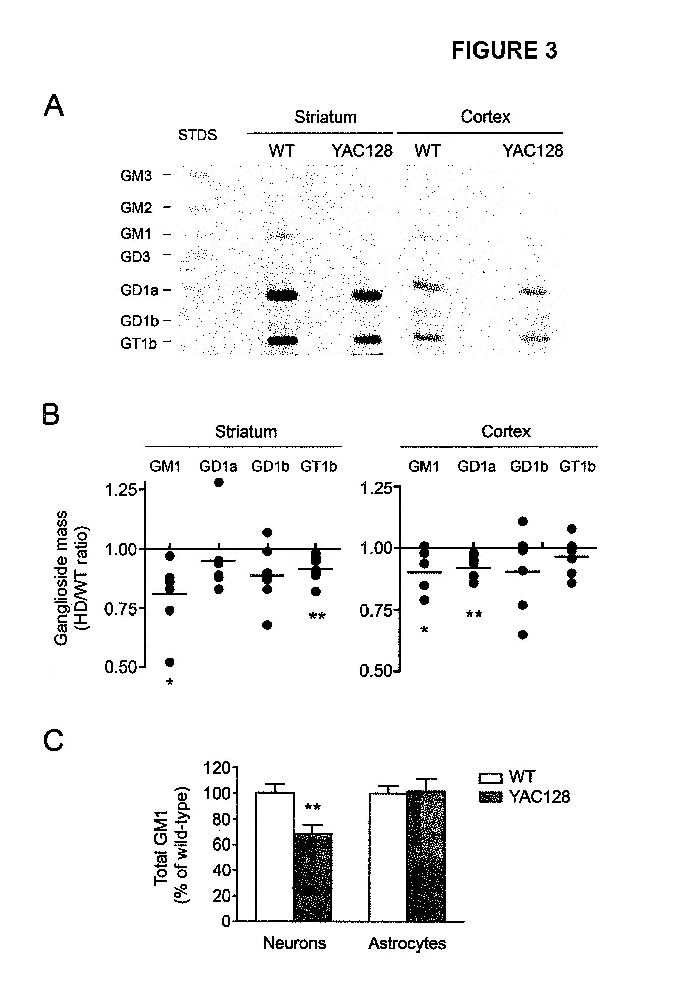 Neuroprotective ganglioside compositions for use in treating huntington's disease