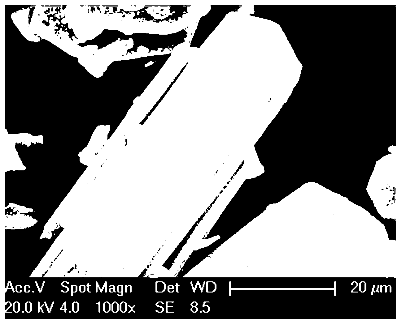 Crystal preparation method of creatine phosphate sodium