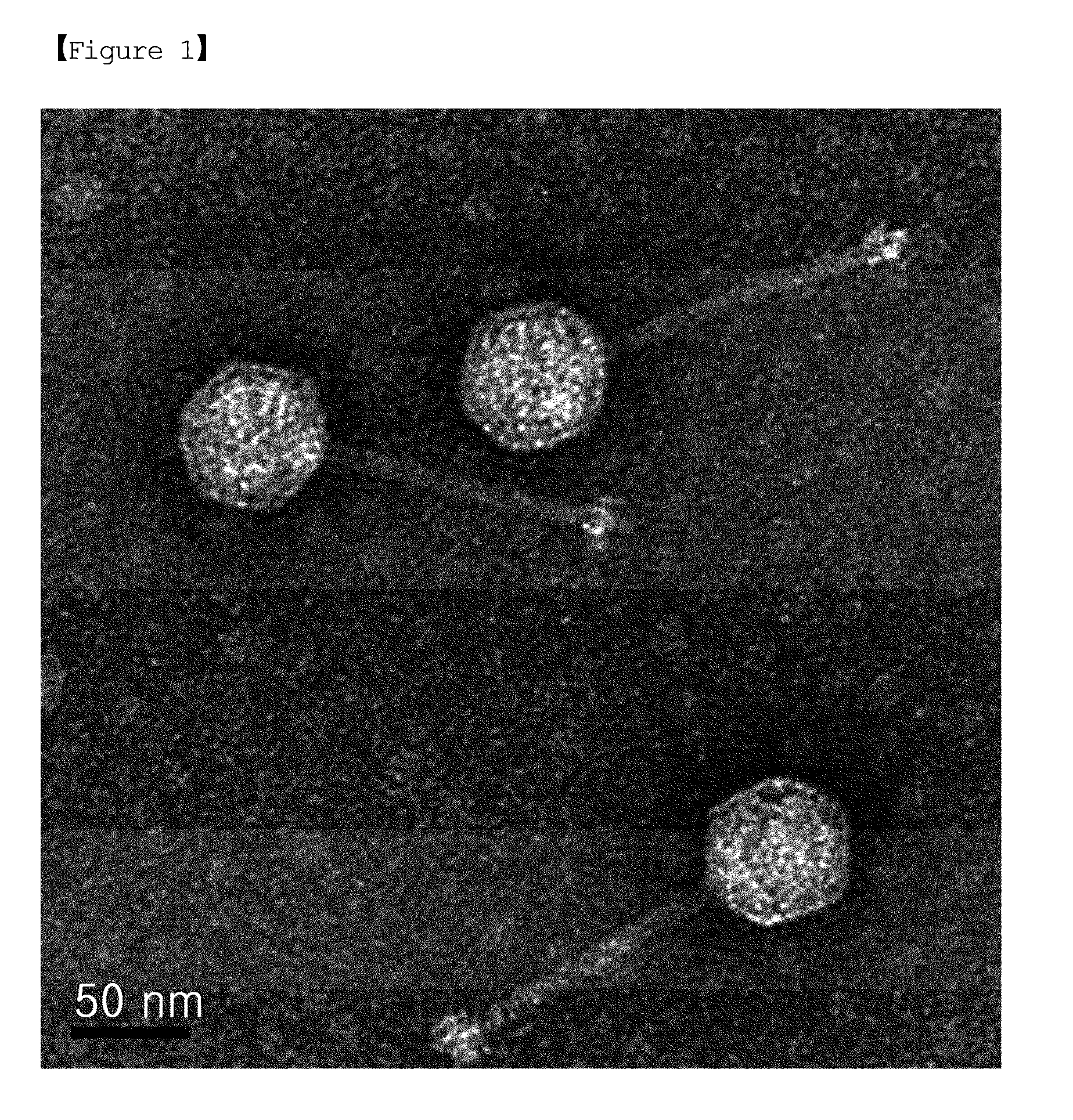 Novel bacteriophage and antibacterial composition comprising the same