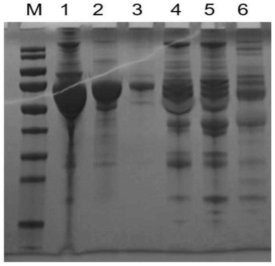 Purification methods of four blood-derived proteins