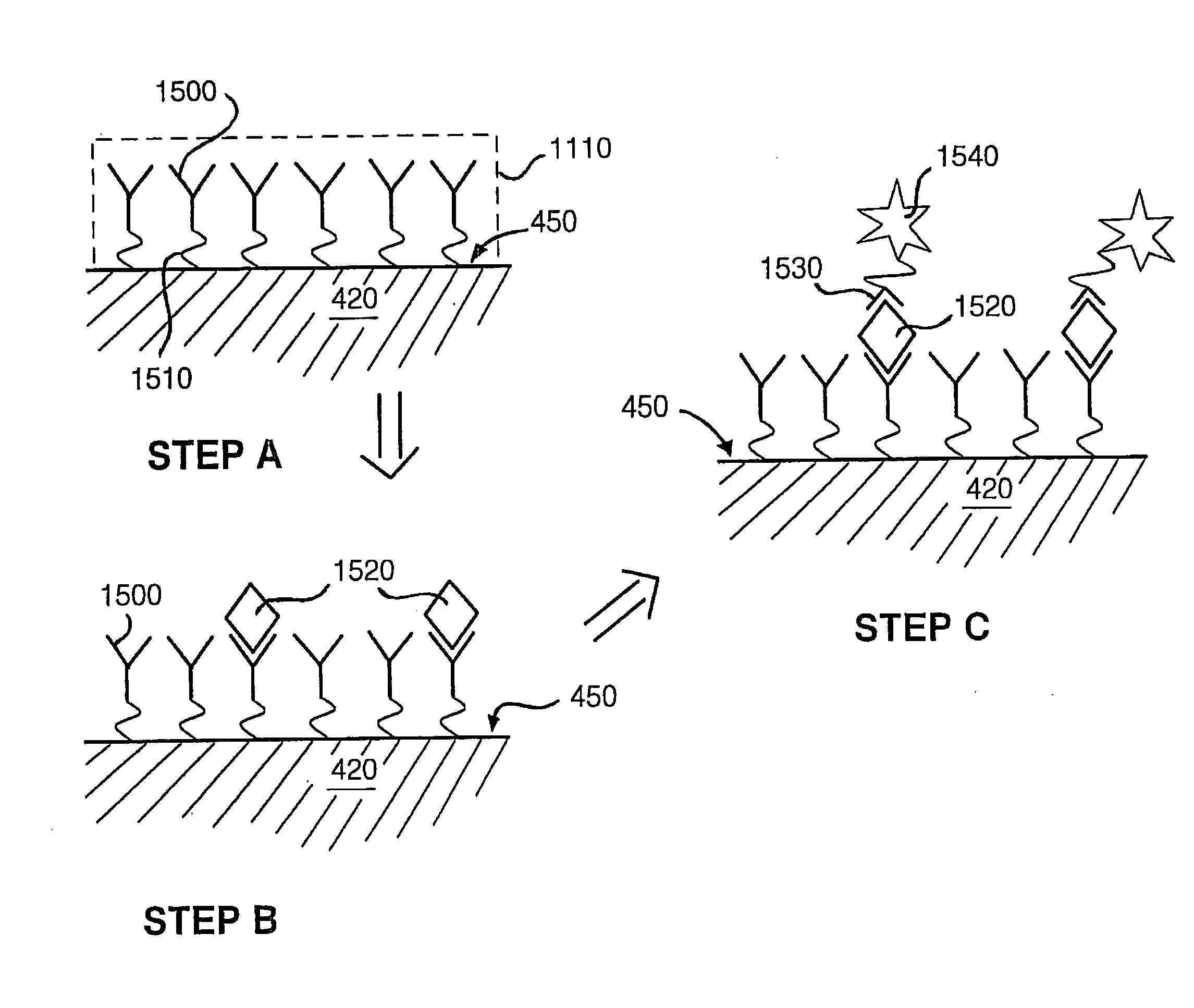 Sample collection apparatus