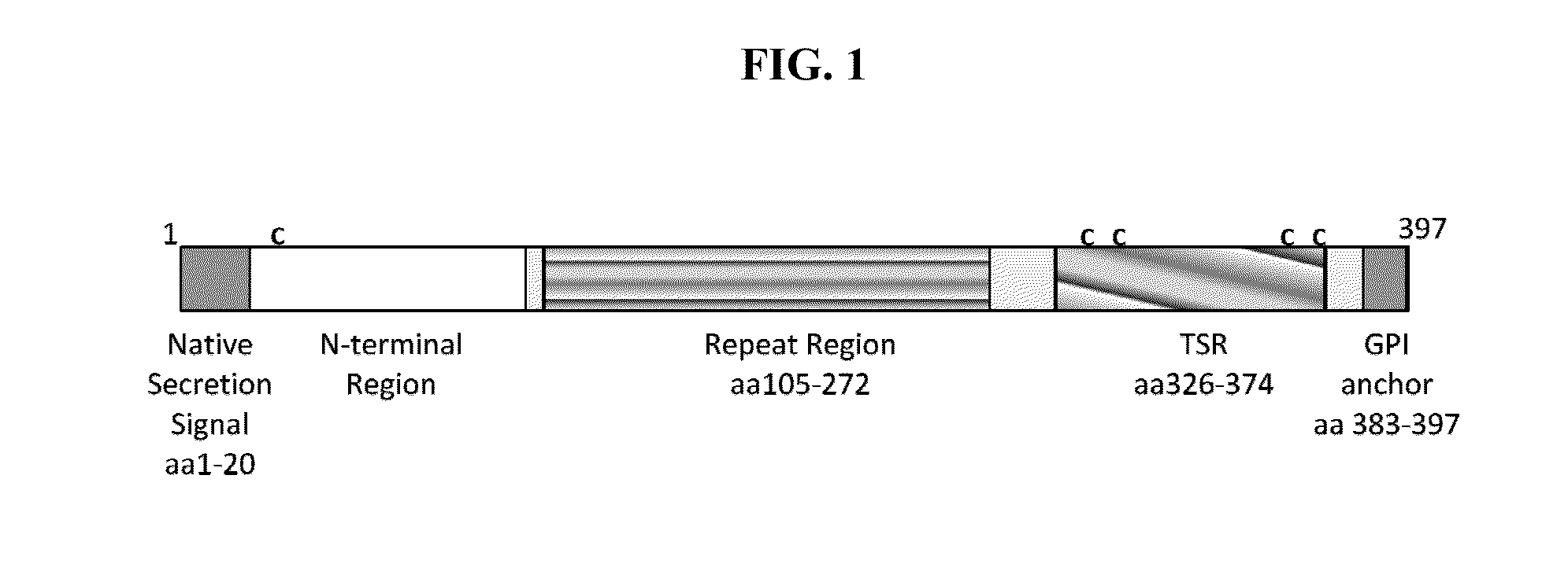 Process for purifying recombinant plasmodium falciparum circumsporozoite protein