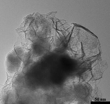 Preparation method of Fe2O3/C@Co2B catalyst and application of Fe2O3/C-coated Co2B catalyst in oxygen evolution reaction