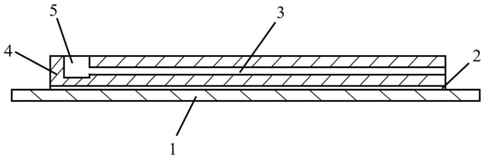 Micro-fluidic chip for detecting survivable organisms in water body and detection method