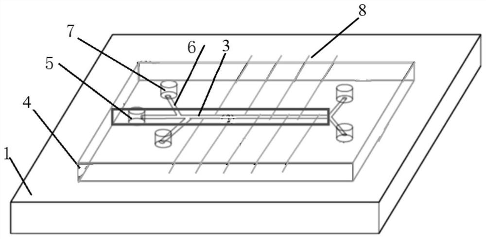 Micro-fluidic chip for detecting survivable organisms in water body and detection method