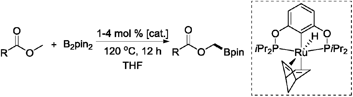 New method for selective dehydrogenation boronation reaction by catalyzing methyl ester through ruthenium