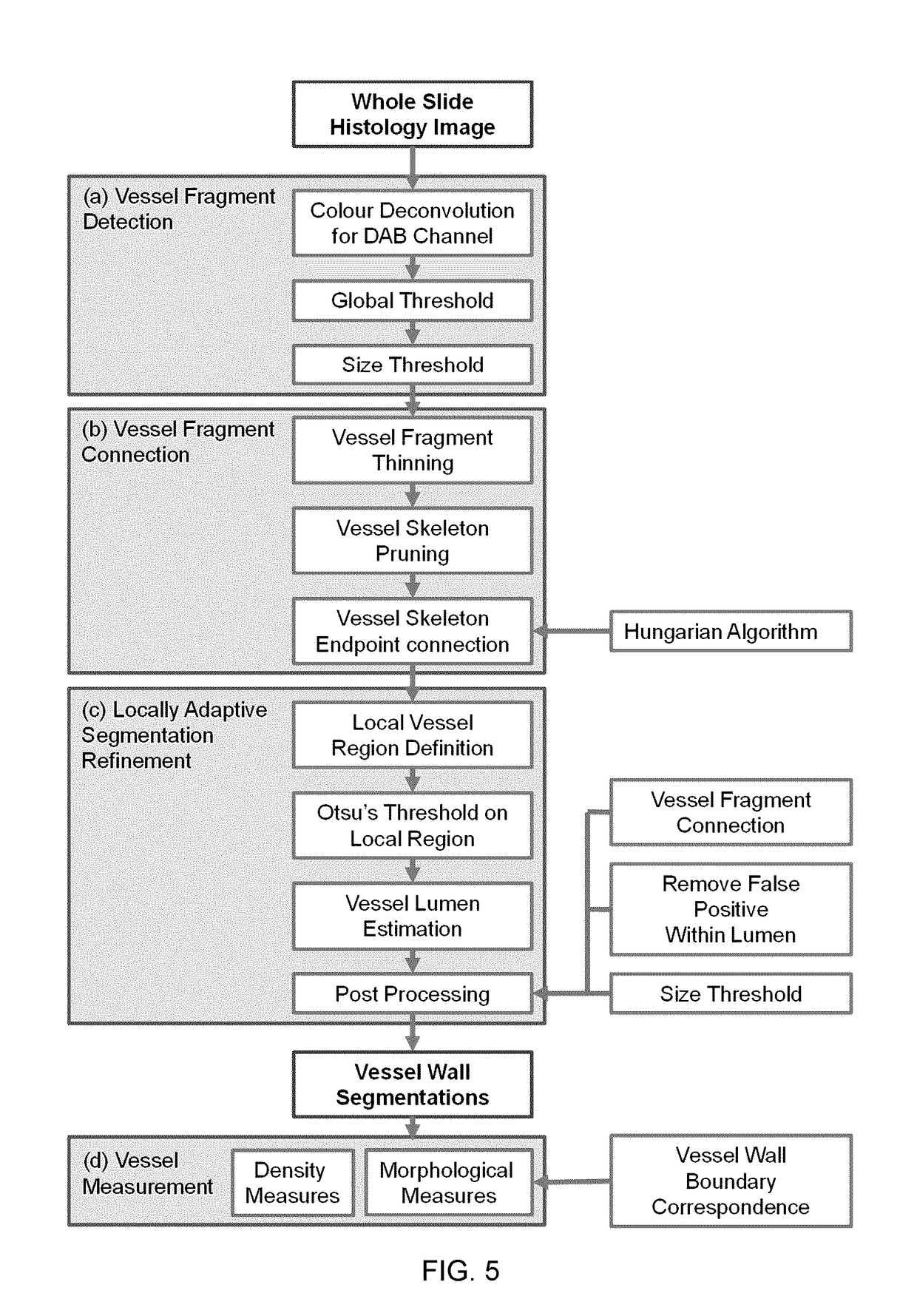 Automated segmentation of histological sections for vasculature quantification