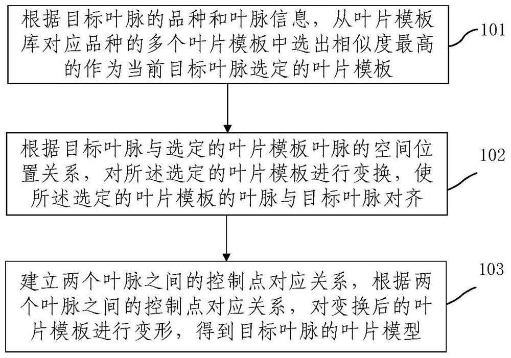 Plant leaf three-dimensional modeling method and device