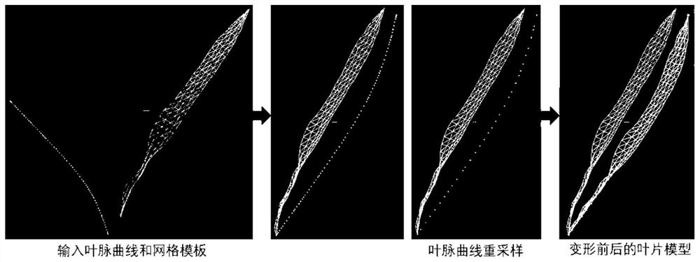 Plant leaf three-dimensional modeling method and device