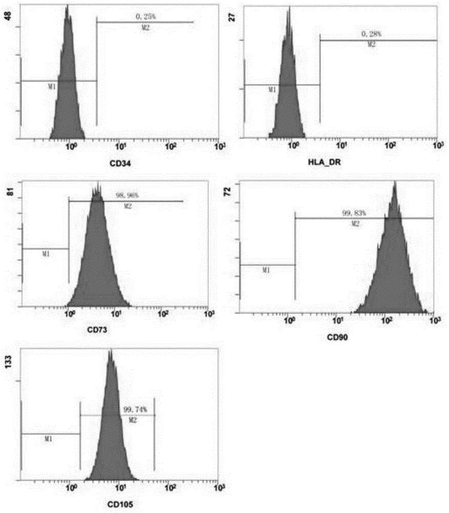 Serum-free medium of stem cell