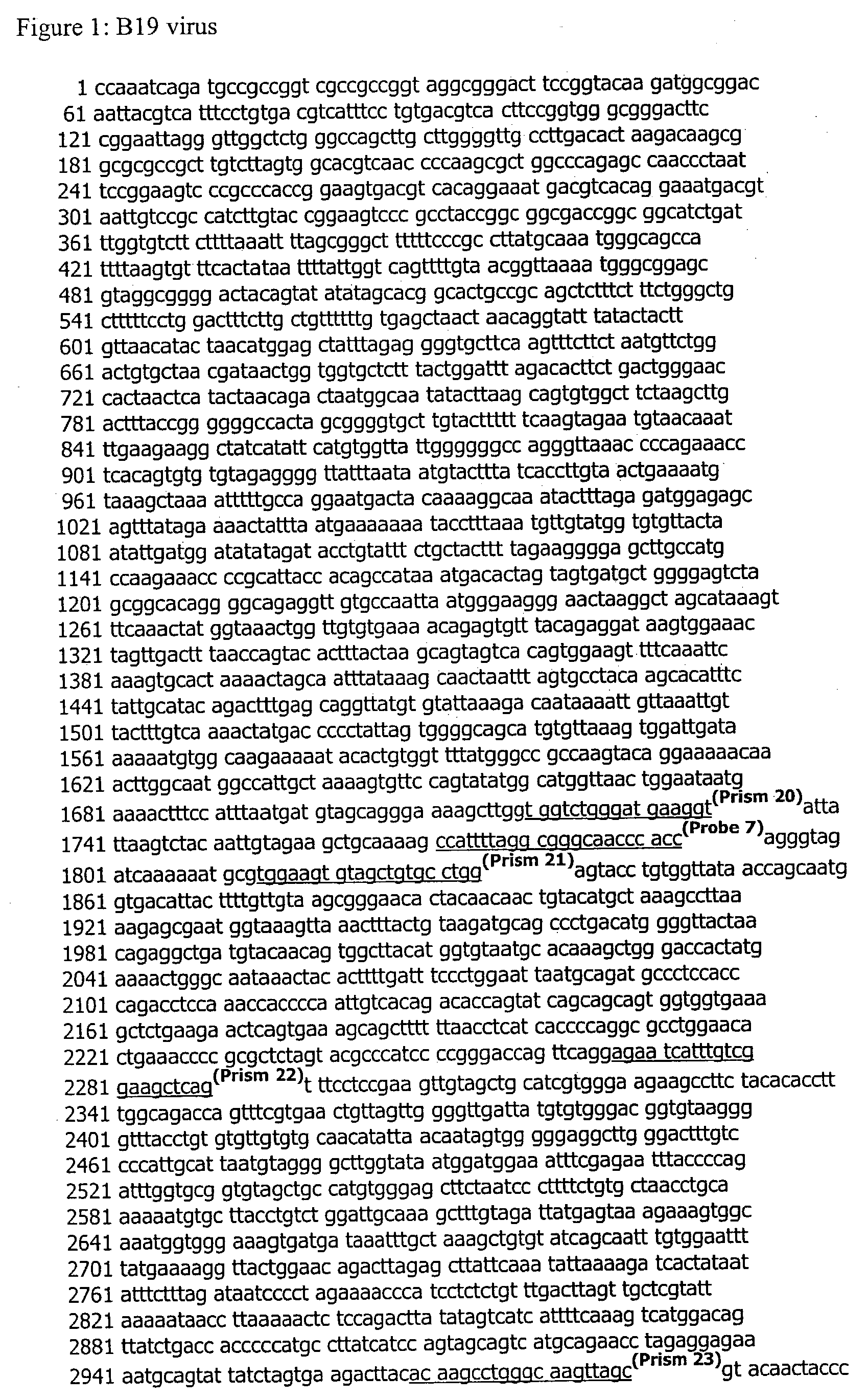 Real-time polymerase chain reaction using large target amplicons