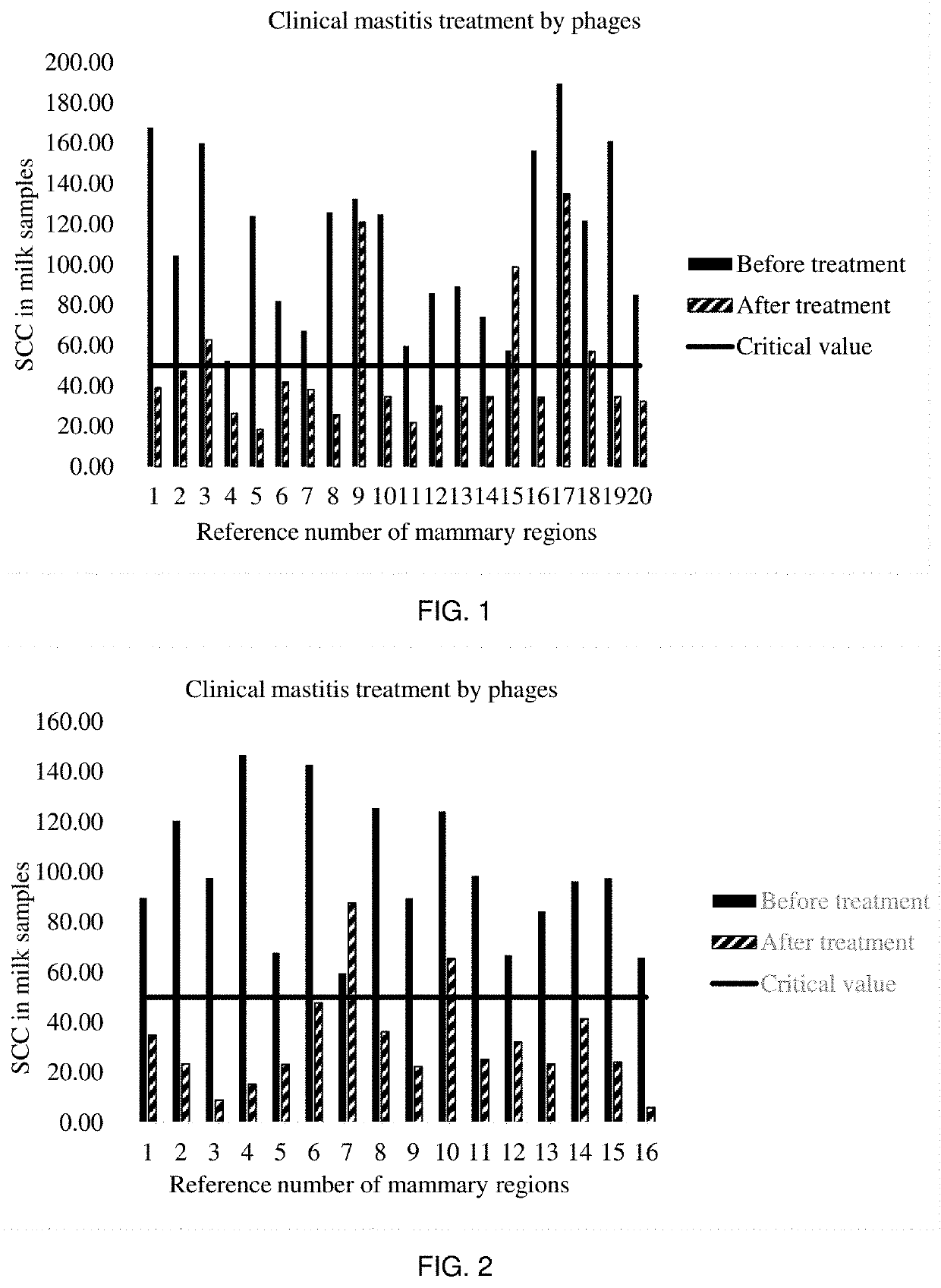 Preparation of phage cocktail as therapeutic agent for cow mastitis and use thereof