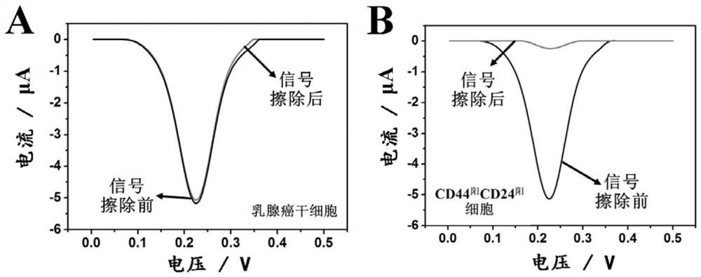 Composition for detecting breast cancer stem cells