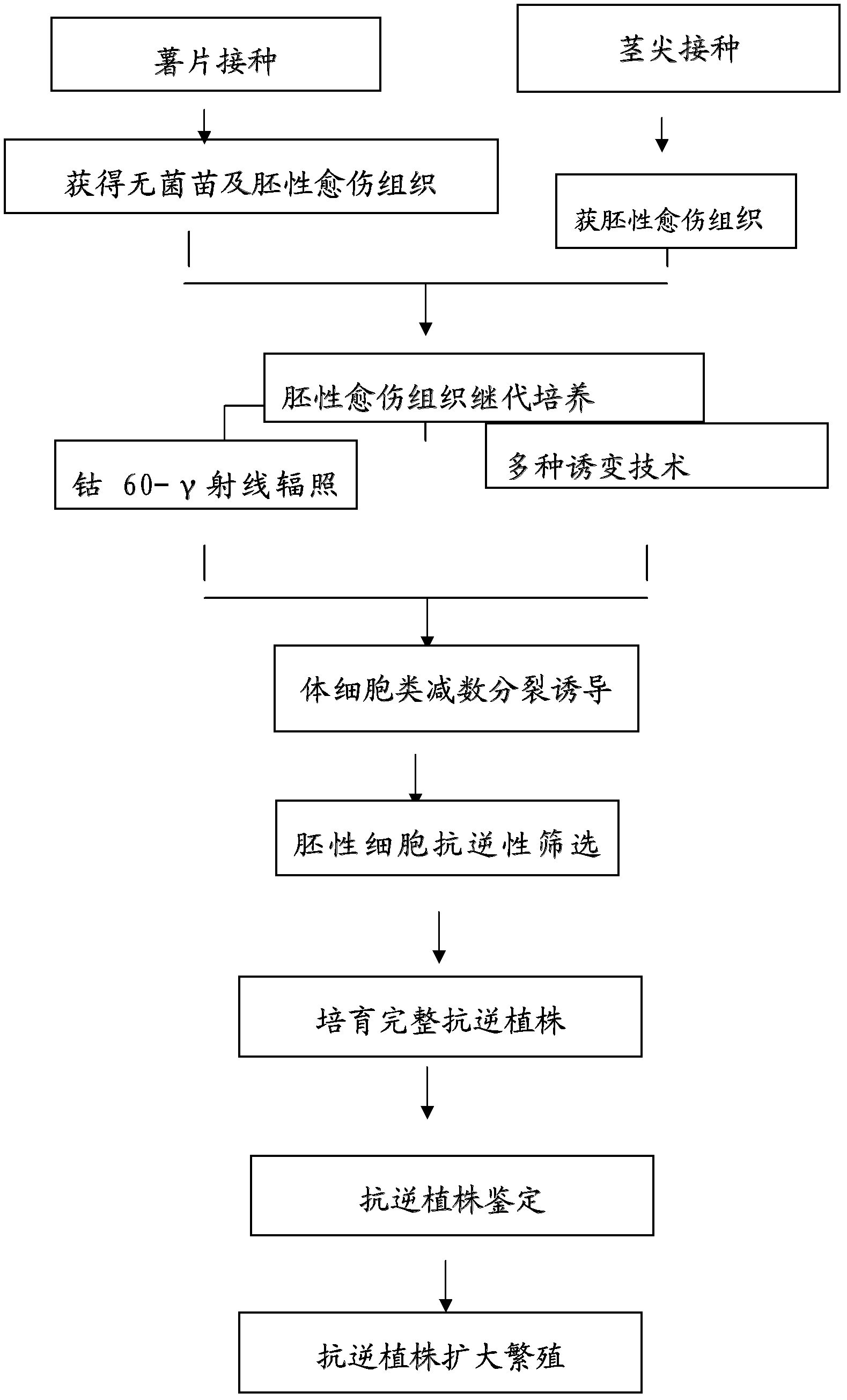 Plant induced mutation breeding method for enhancing mutation frequency and mutation spectrum