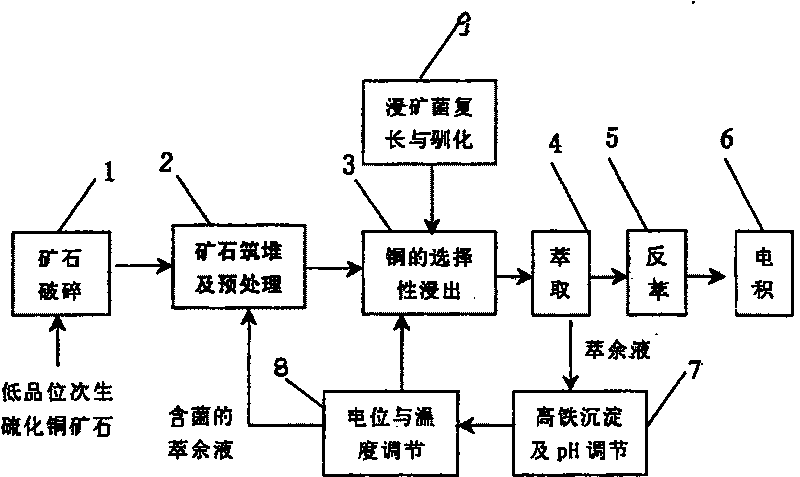 Pyrite selectivity inhibition technique for secondary copper sulfide mineral biological lixiviation process