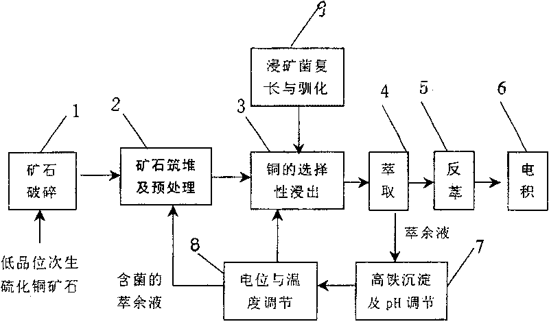 Pyrite selectivity inhibition technique for secondary copper sulfide mineral biological lixiviation process