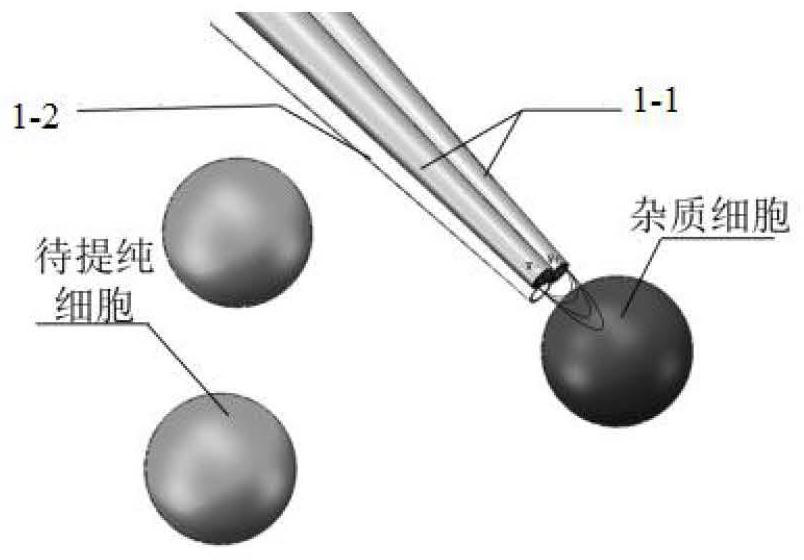 Cell lysis device and cell purification and/or cell lysis method based on cell lysis device