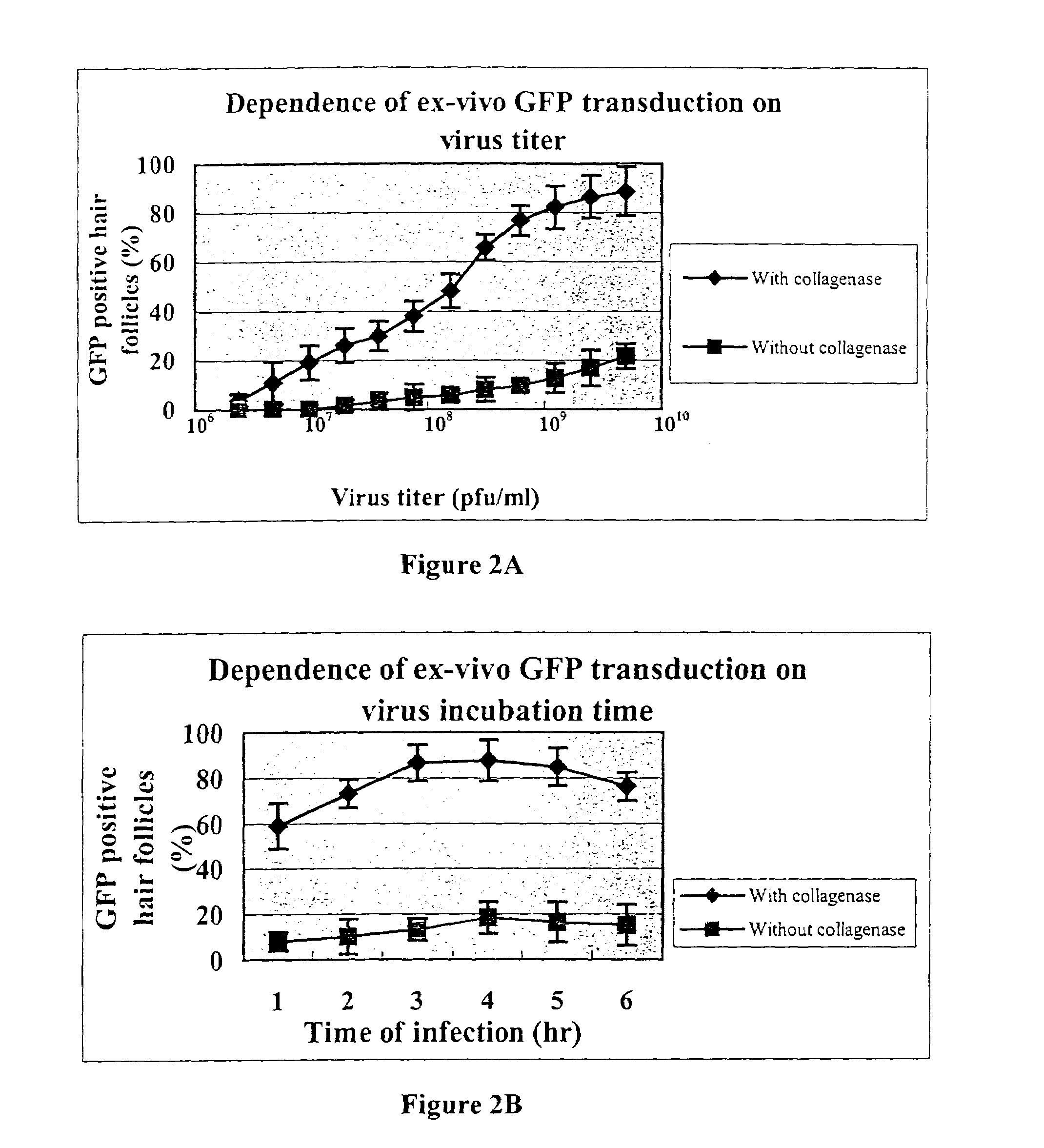 Methods for introducing genes into mammalian subjects